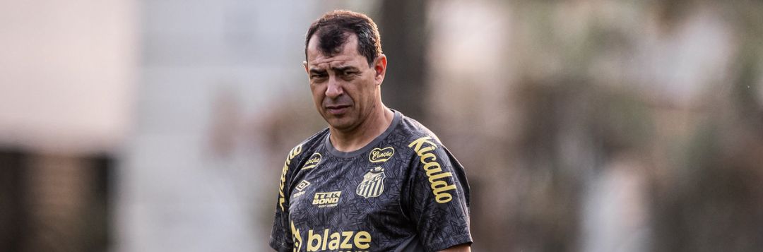 imagem da materia: Santos perde posição na tabela após início da rodada