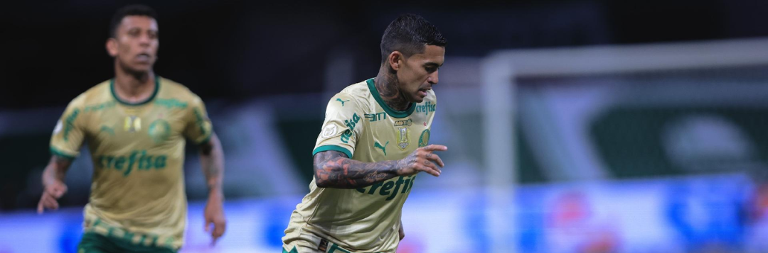 imagem da materia: Depois de um mês fora, Dudu mira sequência no Palmeiras