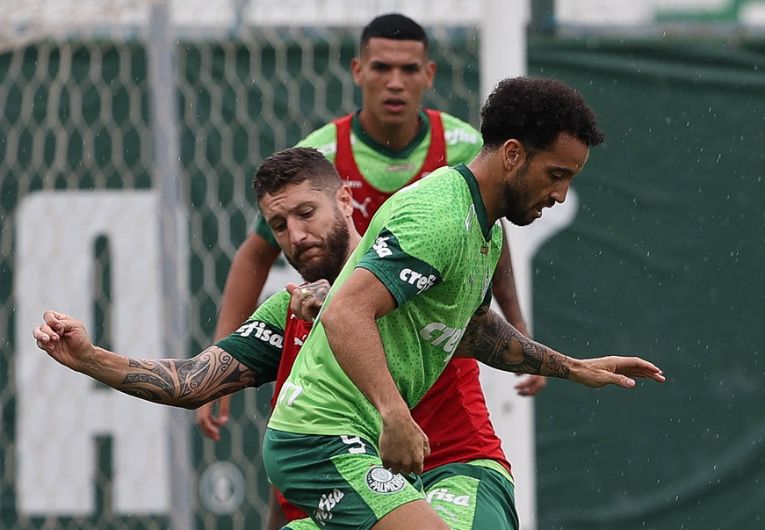 imagem da materia: Palmeiras está focado no duelo contra o Fortaleza