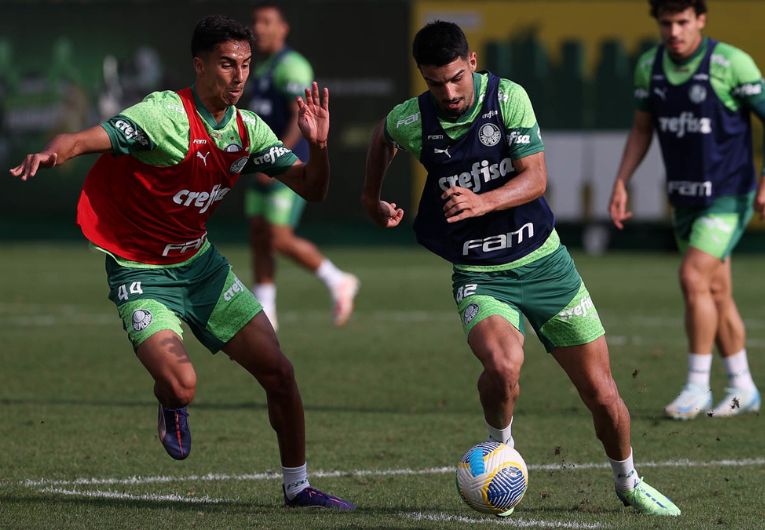 imagem da materia: Palmeiras se reapresenta após folga