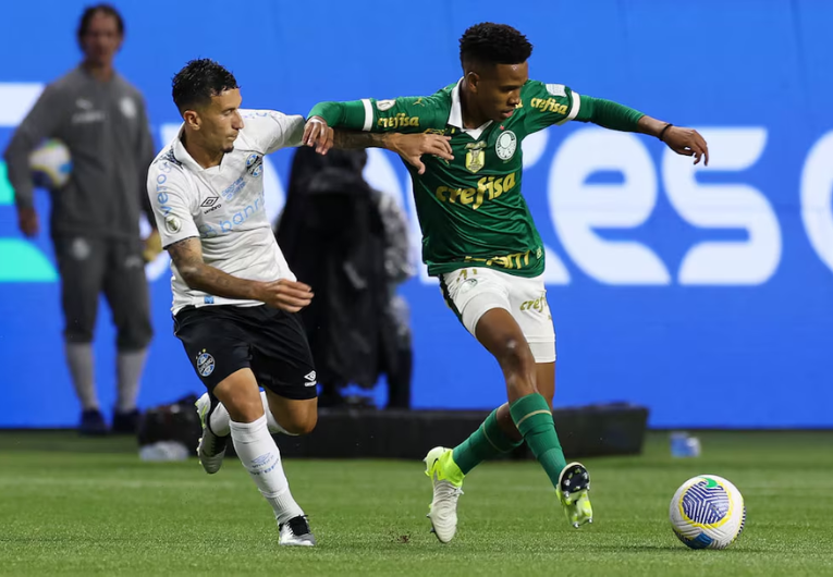 imagem da materia: Palmeiras garante vaga para Libertadores 2025