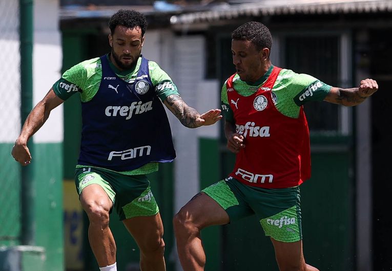 imagem da materia: Palmeiras segue focado no Dérbi