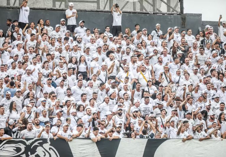 imagem da materia: Torcida do Santos protesta contra preço dos ingressos