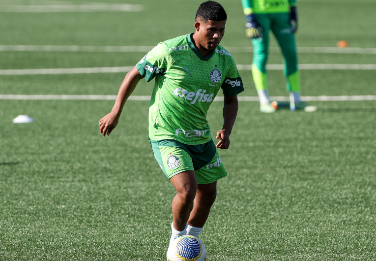 imagem da materia: Palmeiras inicia preparação para Copinha