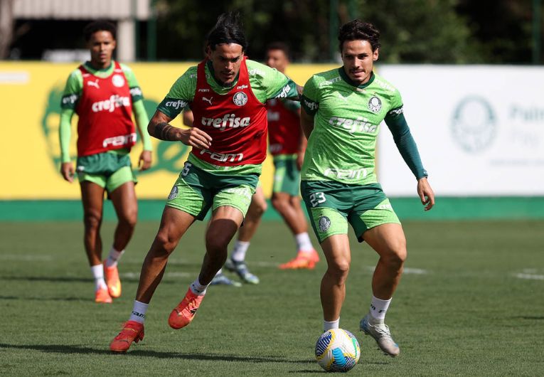 imagem da materia: Palmeiras segue sua preparação para encarar o Fluminense