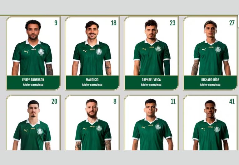 imagem da materia: Palmeiras retira o nome da Crefisa do site oficial