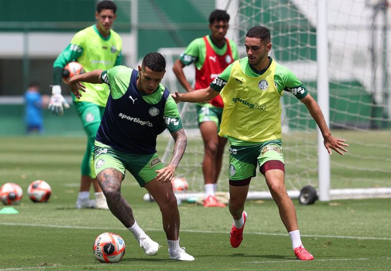 imagem da materia: Palmeiras inicia preparação para o Choque-Rei