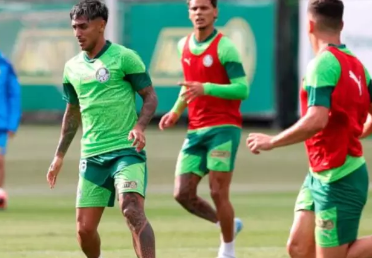 imagem da materia: Palmeiras se prepara para decisão contra o São Bernardo