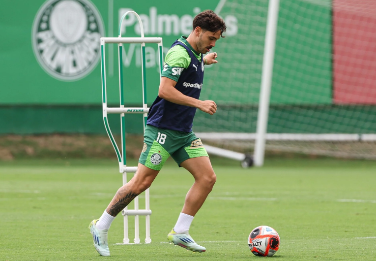 imagem da materia: Palmeiras deve contar com um grande reforço para a decisão