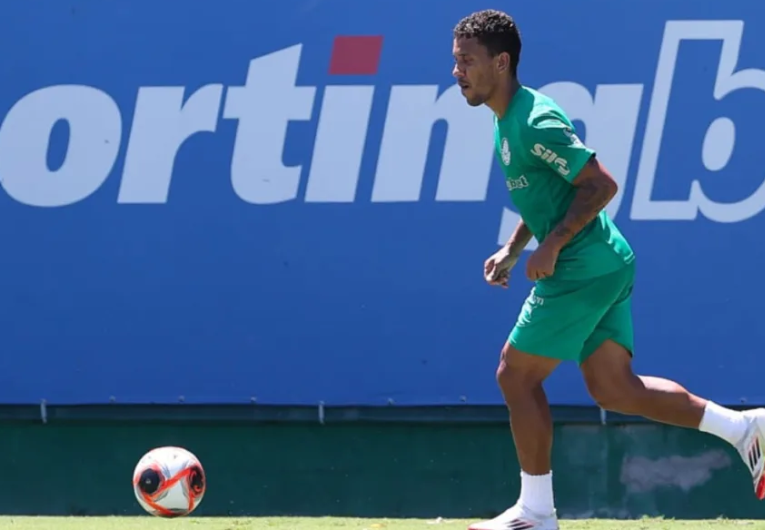imagem da materia: Marcos Rocha pode desfalcar Palmeiras por lesão