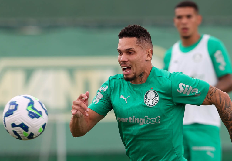 imagem da materia: Paulinho ganha espaço em nova fase do Palmeiras