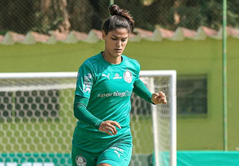 imagem da materia: Palmeiras aposta em retrospecto positivo contra o Cruzeiro