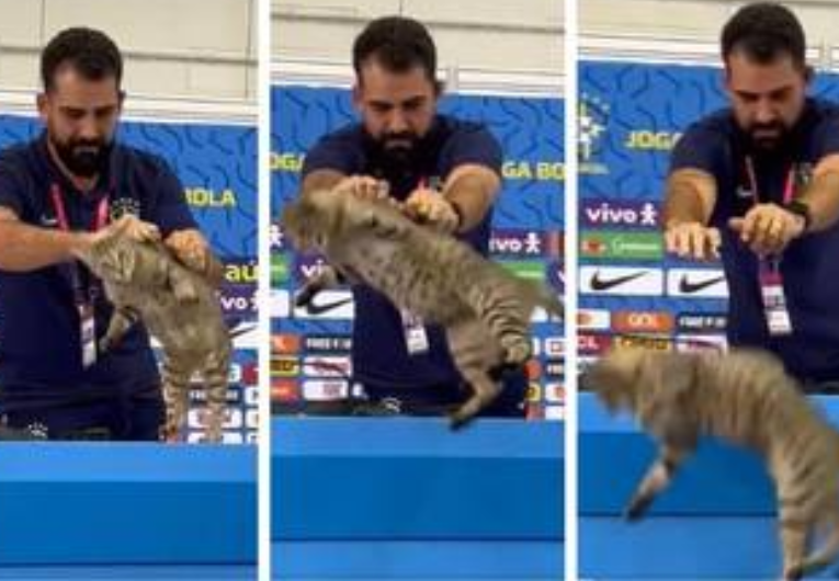 imagem da materia: Novo assessor corintiano é famoso por 'polêmica' com gato