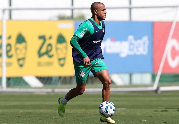 imagem da materia: Palmeiras se reapresenta com dois reforços no treino