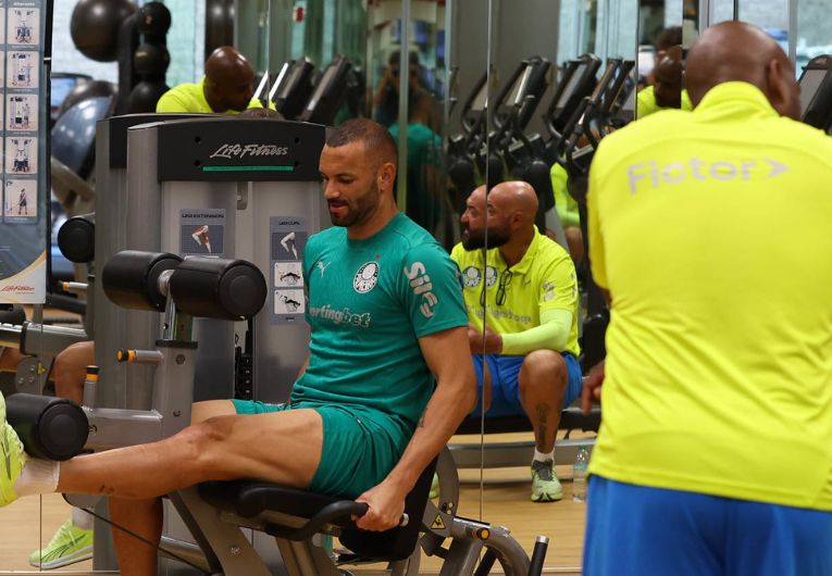 imagem da materia: Palmeiras inicia preparação para encarar o Botafogo