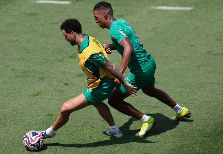 imagem da materia: Palmeiras segue com sua preparação para encarar o Botafogo