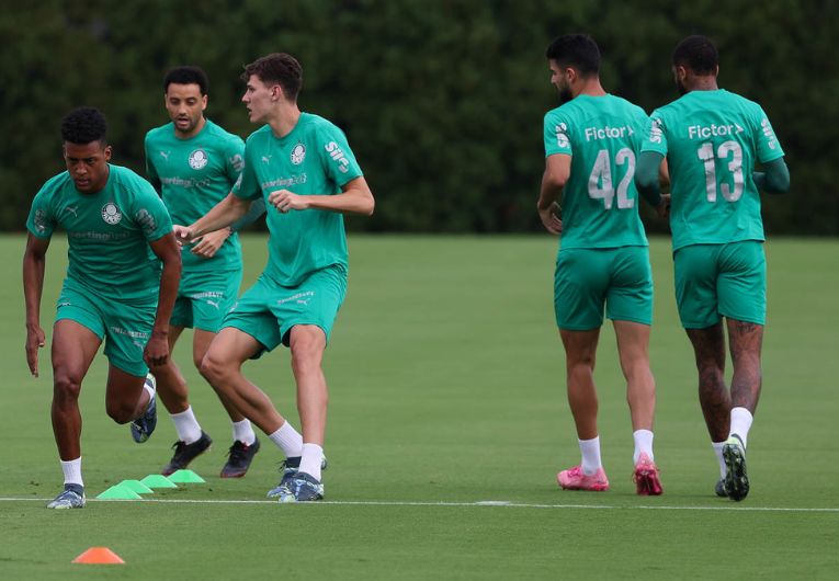imagem da materia: Palmeiras se reapresenta após classificação no Mundial