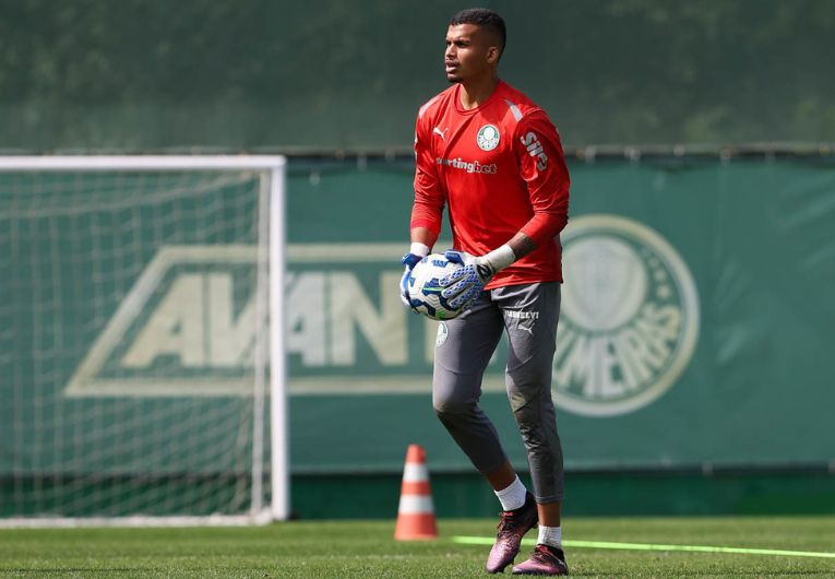 imagem da materia: Aranha fala sobre sua chegada ao profissional do Palmeiras
