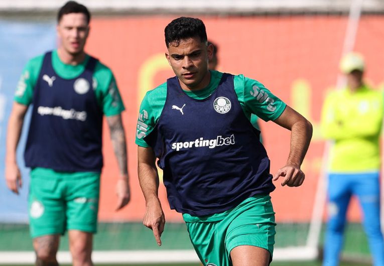 imagem da materia: Palmeiras se reapresenta com novidades