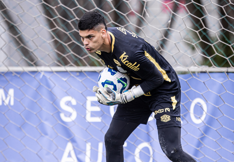 imagem da materia: Flamengo tenta, mas Santos segura Brazão