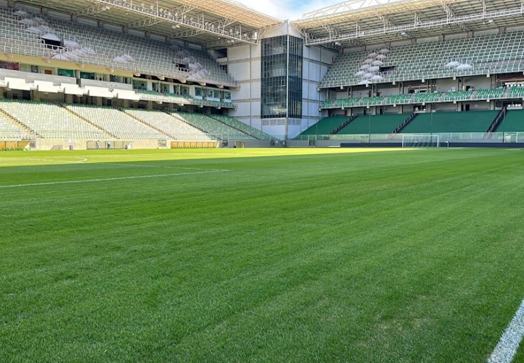 imagem da materia: Cruzeiro x Palmeiras: onde assistir e escalações