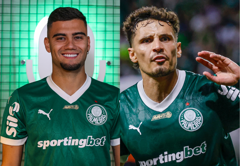 imagem da materia: Palmeiras pode contar com dois 'reforços' na Libertadores