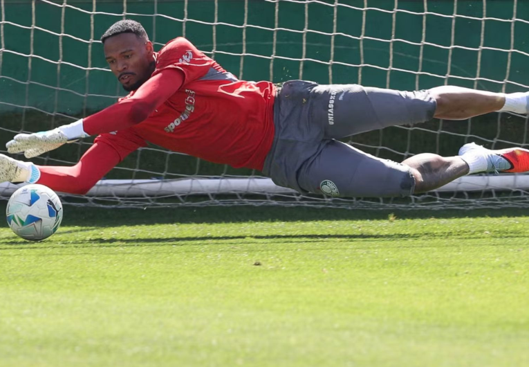 imagem da materia: Palmeiras tem novidades entre os inscritos na Libertadores
