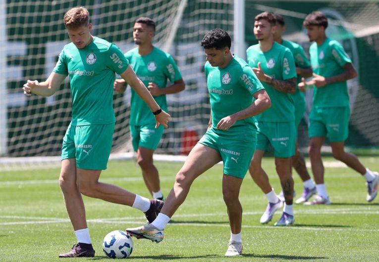 imagem da materia: Palmeiras se reapresenta após vitória na Libertadores