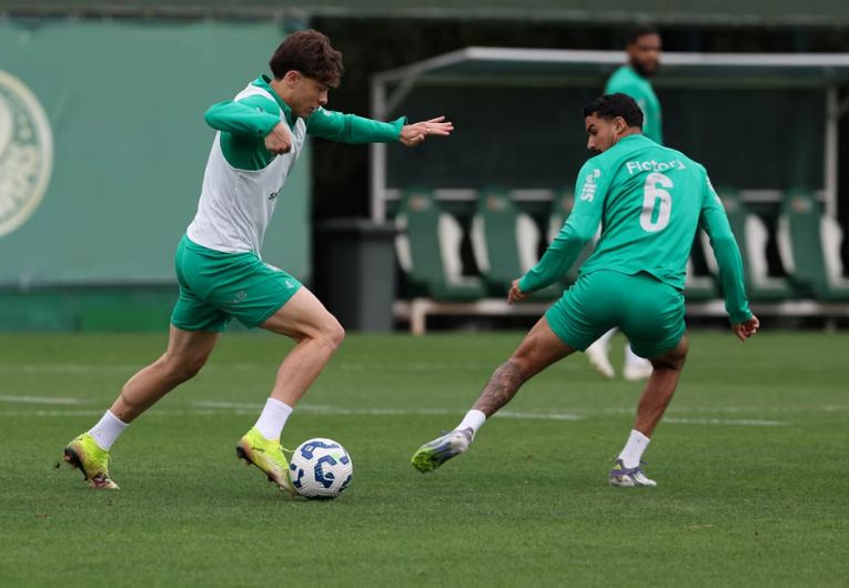 imagem da materia: Palmeiras se reapresenta após classificação no Libertadores