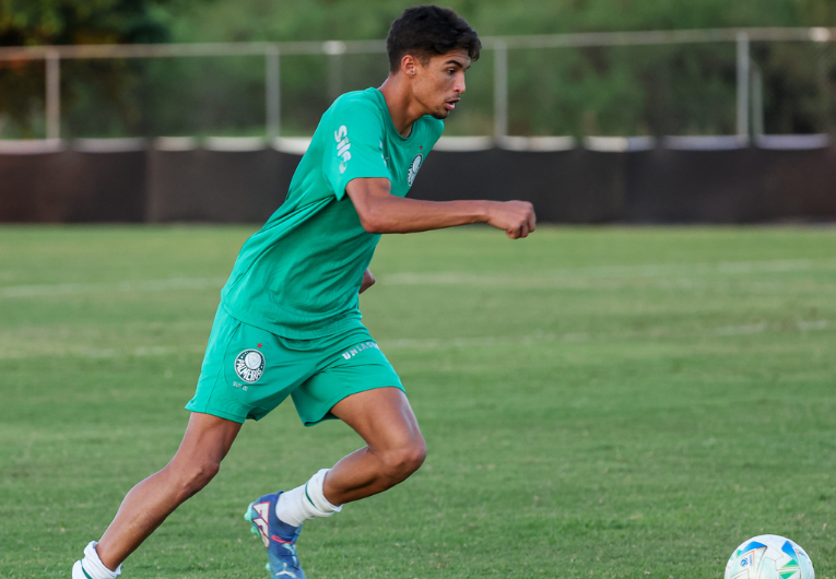imagem da materia: Larson se destaca no Palmeiras e recebe aprovação de Abel