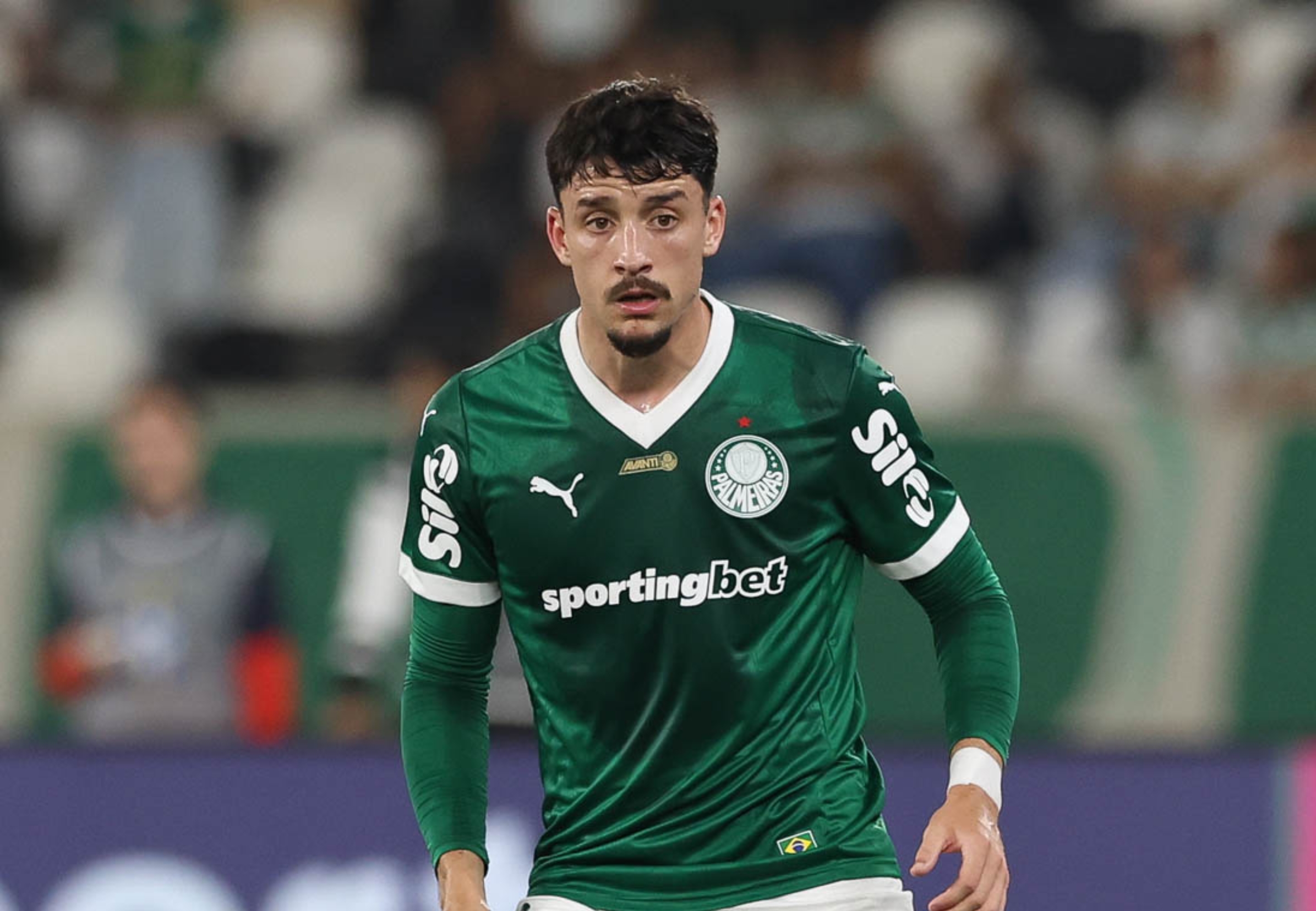 imagem da materia: Palmeiras pode ter desfalques importantes contra o Flamengo