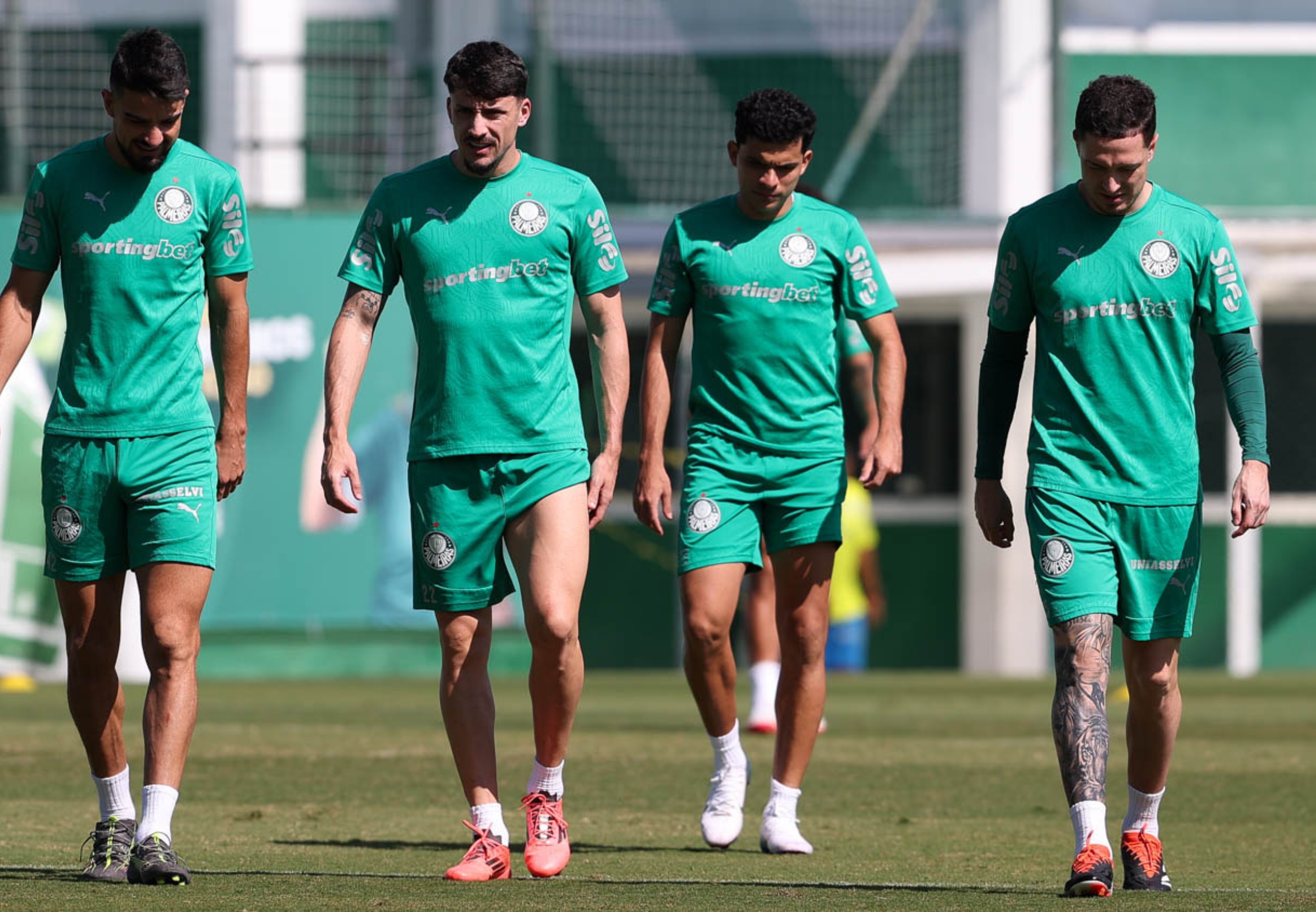 imagem da materia: Após longo período, atacante pode ser titular no Palmeiras