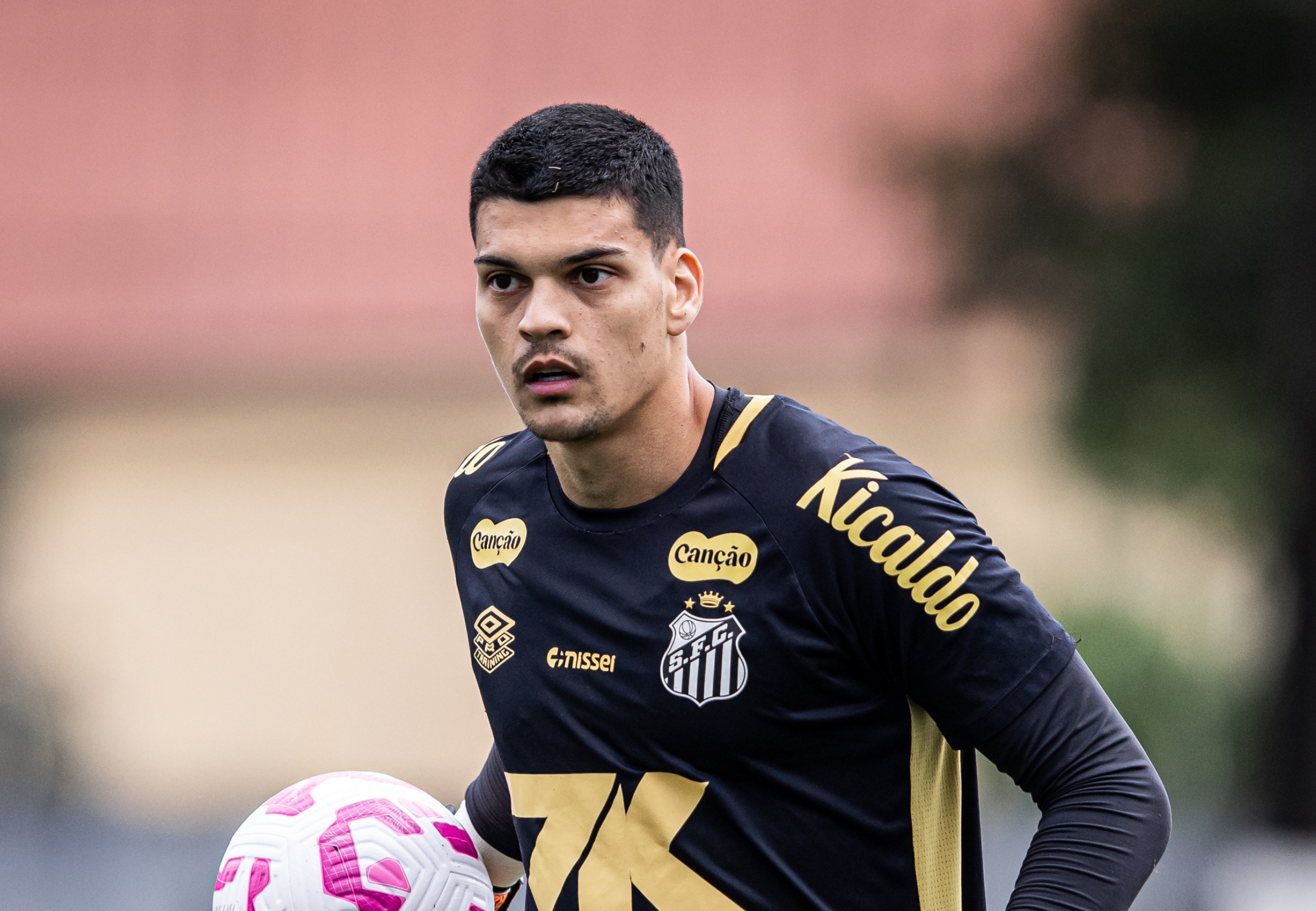 imagem da materia: Santos quer sair do limbo e se prepara para o Botafogo