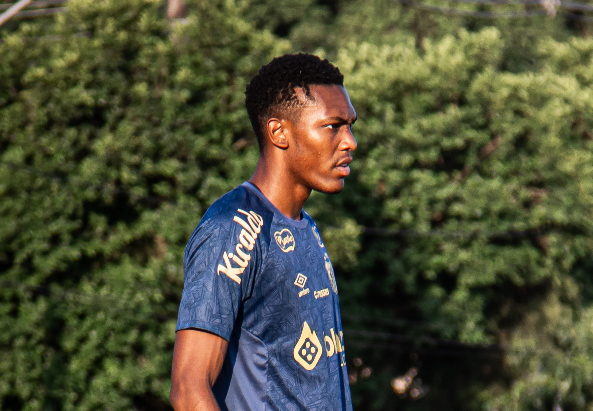 imagem da materia: Santos busca solução para o zagueiro Luisão em 2026