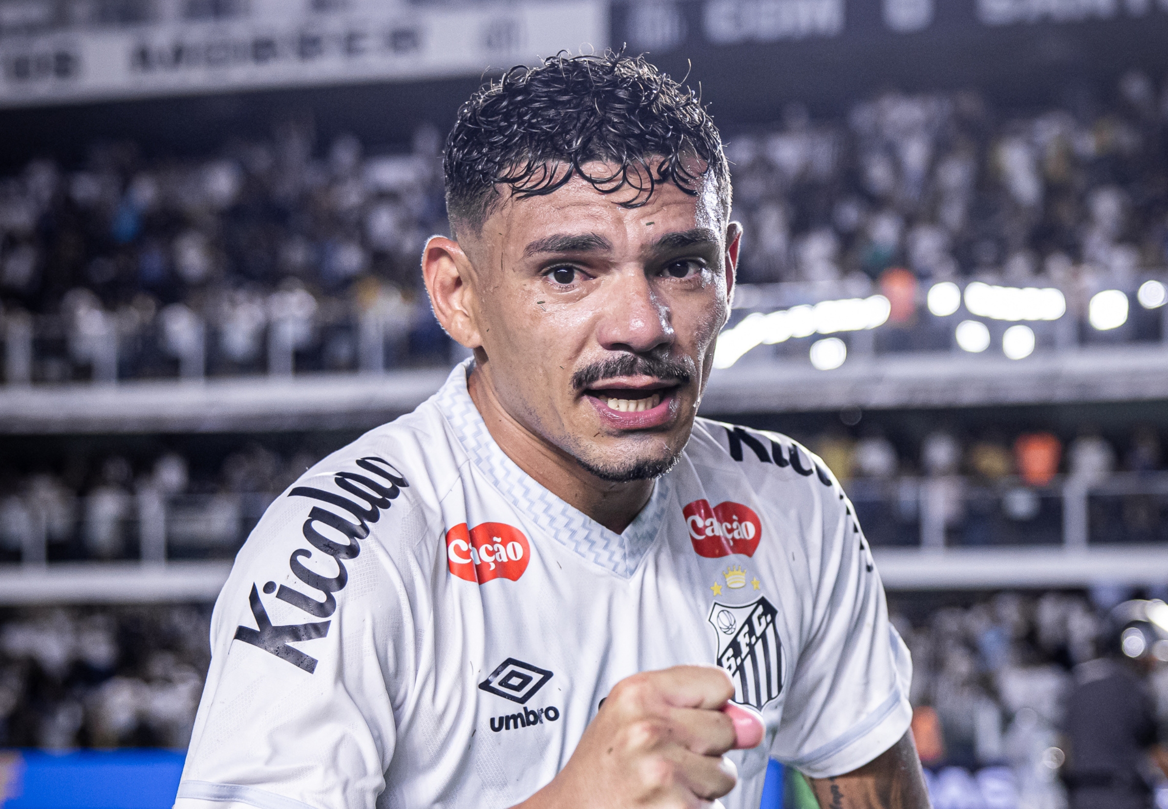 imagem da materia: Tiquinho Soares deve voltar ao time titular santista