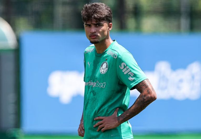 imagem da materia: Conheça craque sueco que inspirou nome de promessa do Verdão