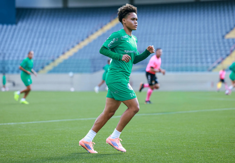 imagem da materia: Palmeiras e Bragantino realizam jogo-treino em Barueri