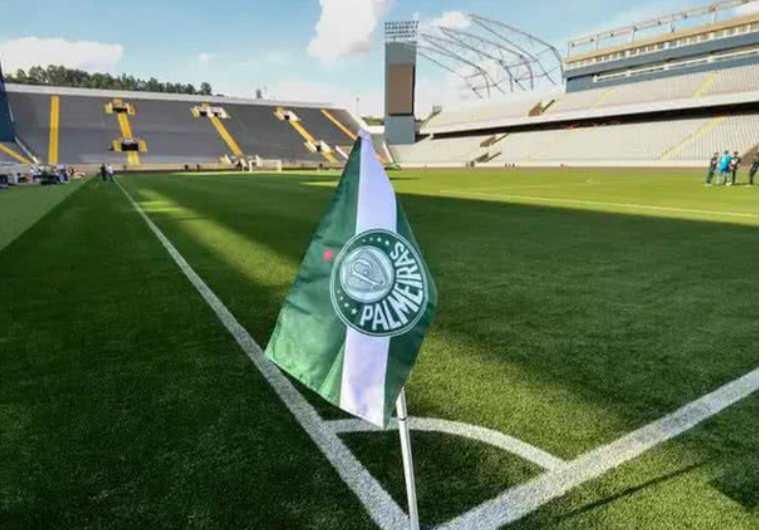 imagem da materia: Palmeiras x Novorizontino: onde assistir e escalações