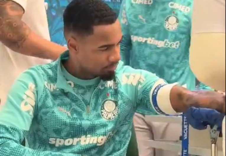 Foto: Reprodução/TV Palmeiras