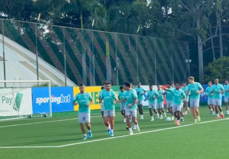 Foto: Reprodução/Palmeiras