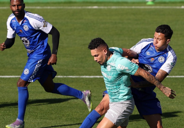 Foto: Cesar Greco/Palmeiras