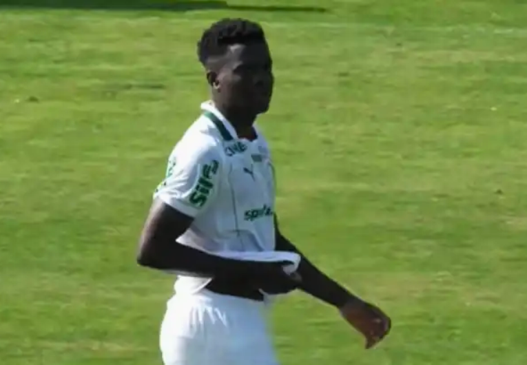 Foto: Reprodução/TV Palmeiras