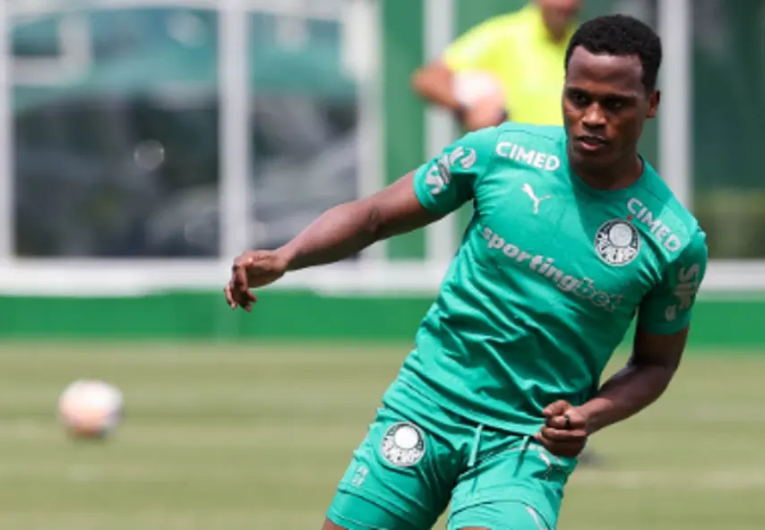 Foto: Cesar Greco/Palmeiras