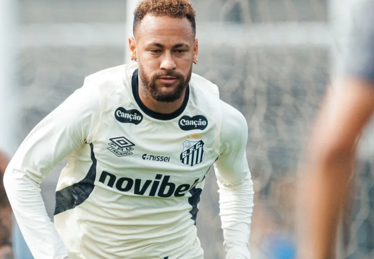 Foto: Raul Baretta/Santos FC