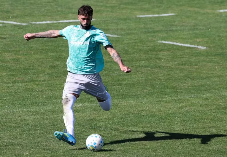 Foto: Cesar Greco/Palmeiras