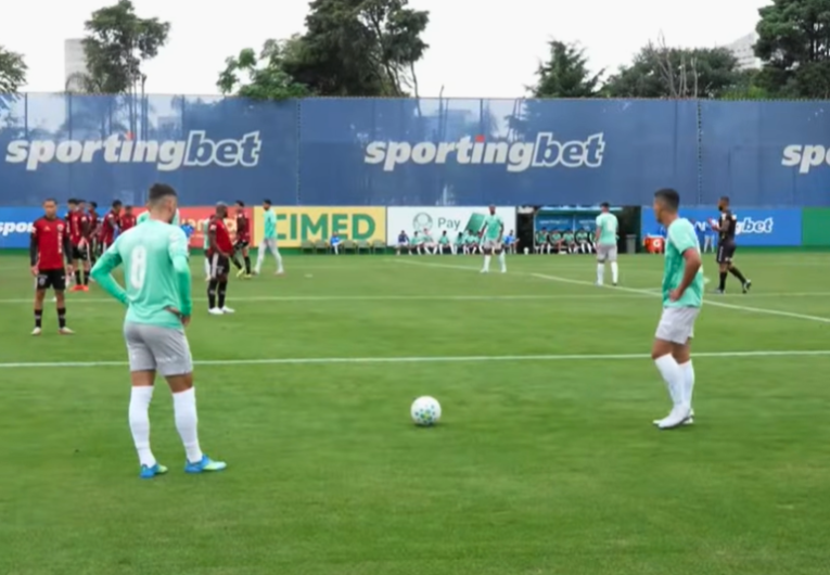Foto: Reprodução/TV Palmeiras