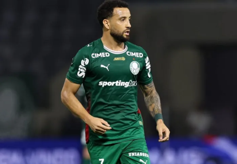 Foto: Divulgação/Palmeiras