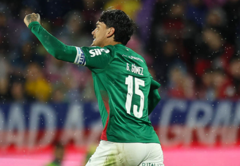 Foto: Divulgação/ Palmeiras