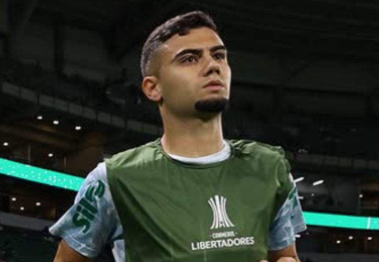 Foto: Divulgação/Palmeiras