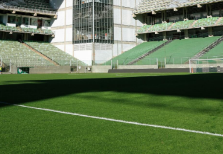 Foto: Paloma Cassiano/Palmeiras